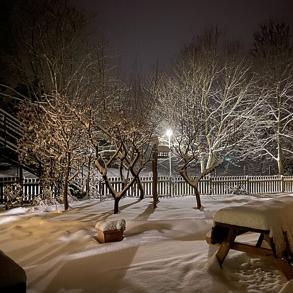 image-224